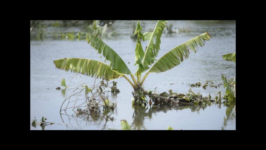 Al menos seis muertos y 12 heridos a causa de las lluvias en el noreste de Haití Al menos seis muertos y 12 heridos a causa de las lluvias en el noreste de Haití