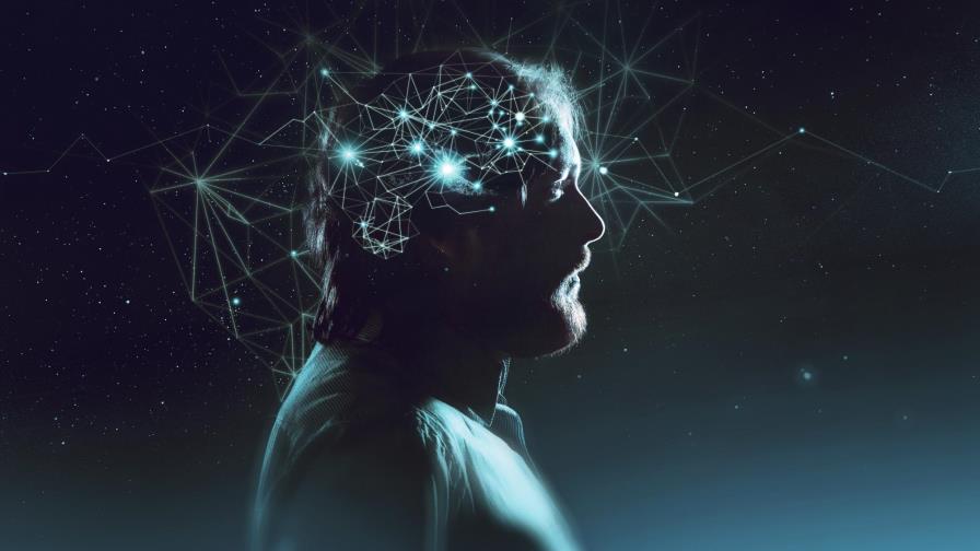 Crean método para entender funcionamiento de neuronas en toma de decisiones 