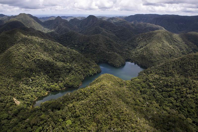 Perú crea nuevo parque nacional en la Amazonía y bosque protector en el Cuzco 