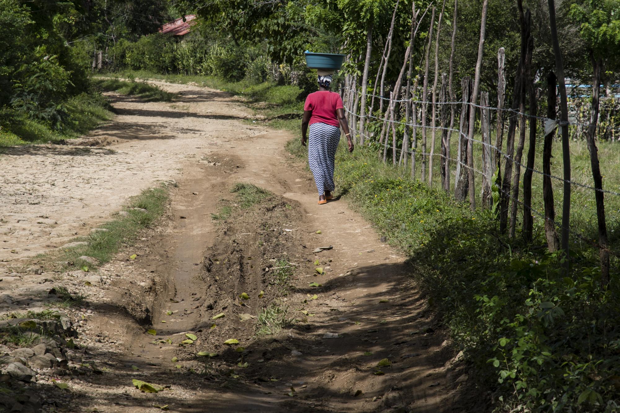 Camino de acceso a la comunidad Los Algodones.