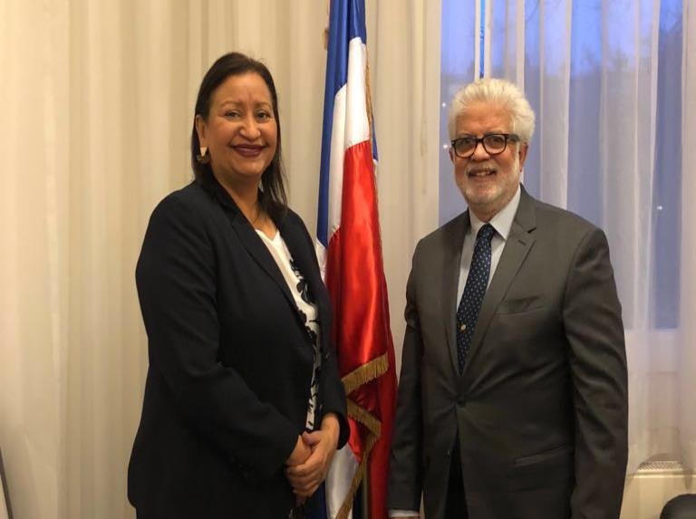 Diputada Annie Báez presenta propuestas a delegaciones dominicanas en Europa