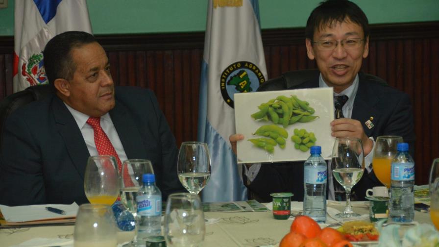Sembrarán peras japonesas en asentamientos de Jarabacoa y Constanza