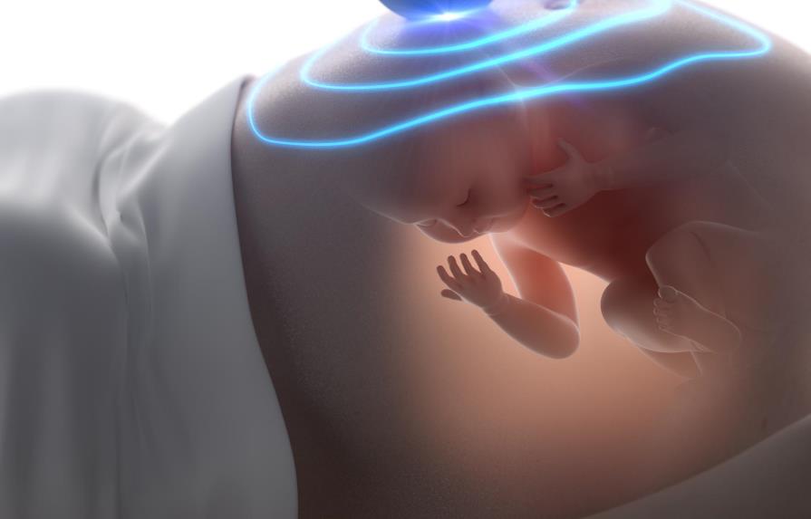 Diseñan un sistema para detectar sufrimiento fetal durante el embarazo