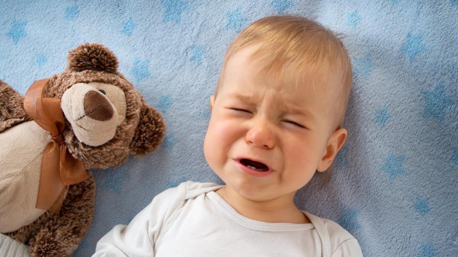 Trehalose: ¿un aditivo seguro y confiable?