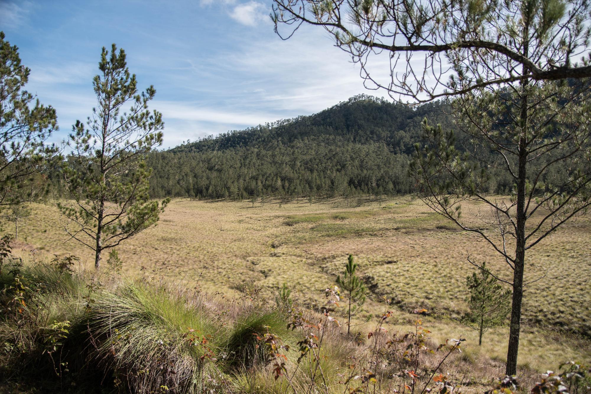Vista desde el oeste del valle.