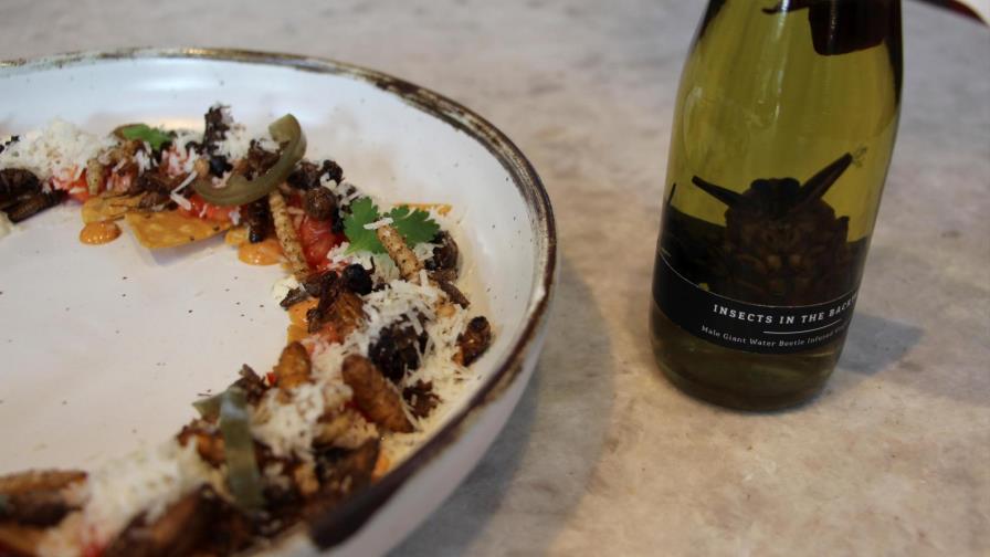 Los insectos saltan hasta la alta cocina en un restaurante de Bangkok 