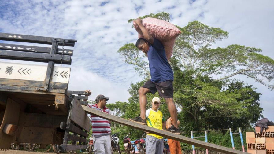 Cambio climático y deforestación amenazan a indígenas del Amazonas boliviano 