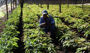 Más de 140 profesionales de la ANPA fueron pensionados con RD$50,000