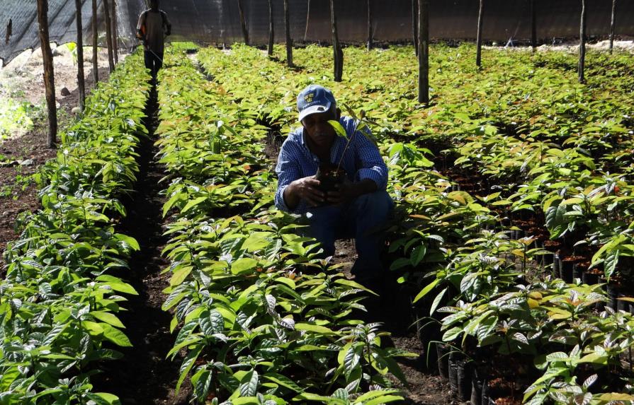 Fomentan en la región Sur la siembra de pitajaya para la exportación