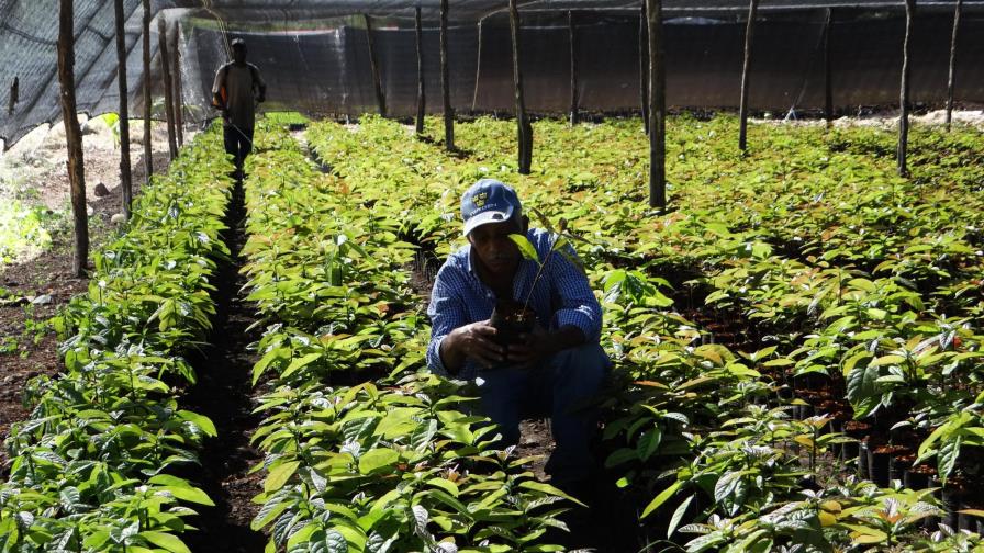 La Junta Agroempresarial Dominicana cumple 40 años apoyando la agropecuaria nacional La Junta Agroempresarial Dominicana cumple 40 años apoyando la agropecuaria nacional