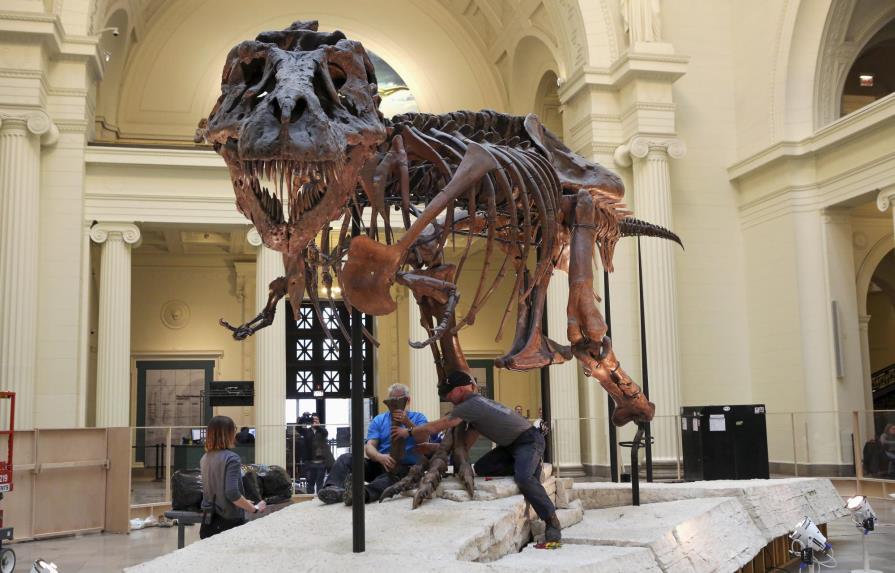 Se muda Sue, el esqueleto de tiranosaurio más grande
