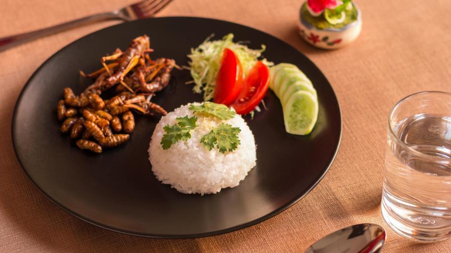 ¿Aceptas el reto de comer insectos?