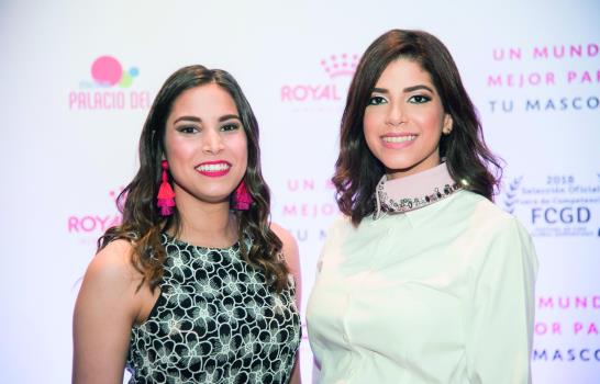 Amor y respeto para tu mascota Amor y respeto para tu mascota