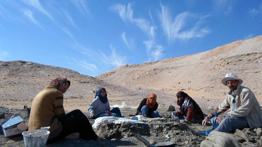 “Mansurasaurio”, el dinosaurio que prueba la conexión entre África y Europa