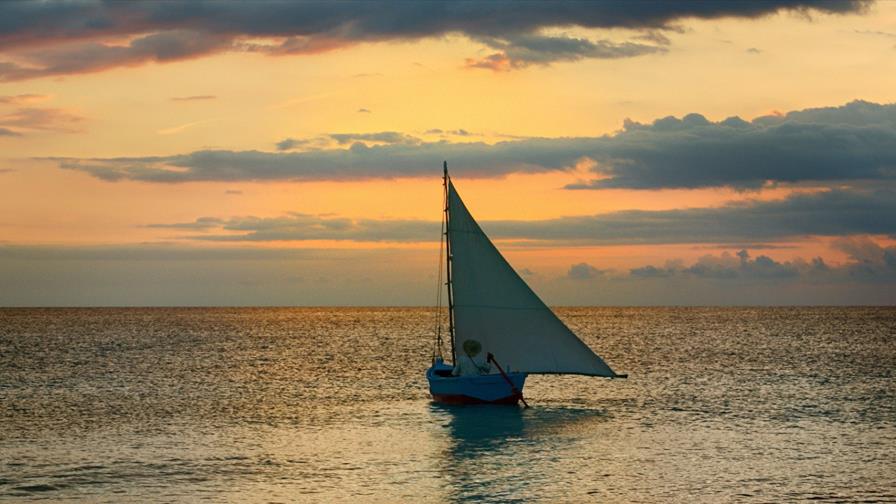 Muestras que celebra a la Patria y la identidad dominicana 