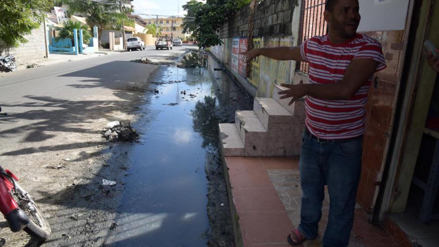 Mosquitos y mal olor afectan a familias en Alma Rosa II