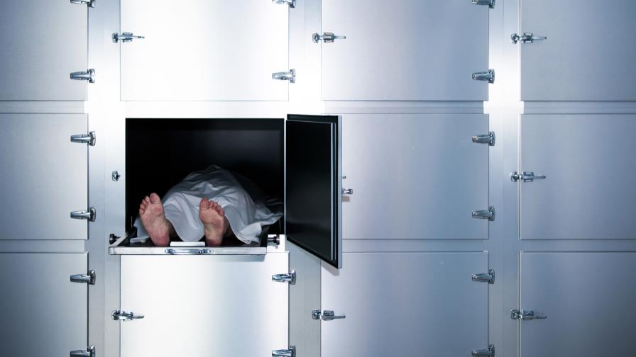 La expresión de los genes ayuda a forenses a determinar la hora de la muerte La expresión de los genes ayuda a forenses a determinar la hora de la muerte