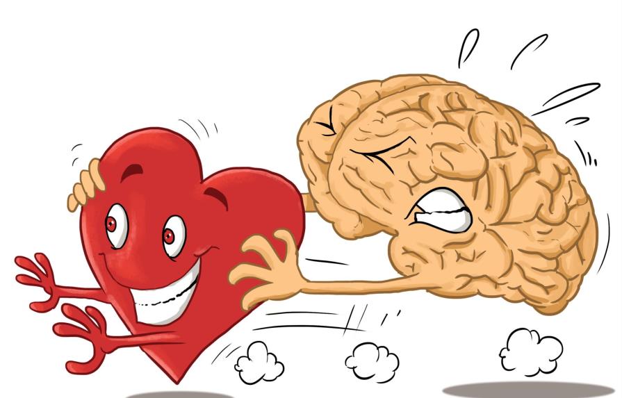 Cerebro o corazón, ¿cual órgano determina el enamoramiento?