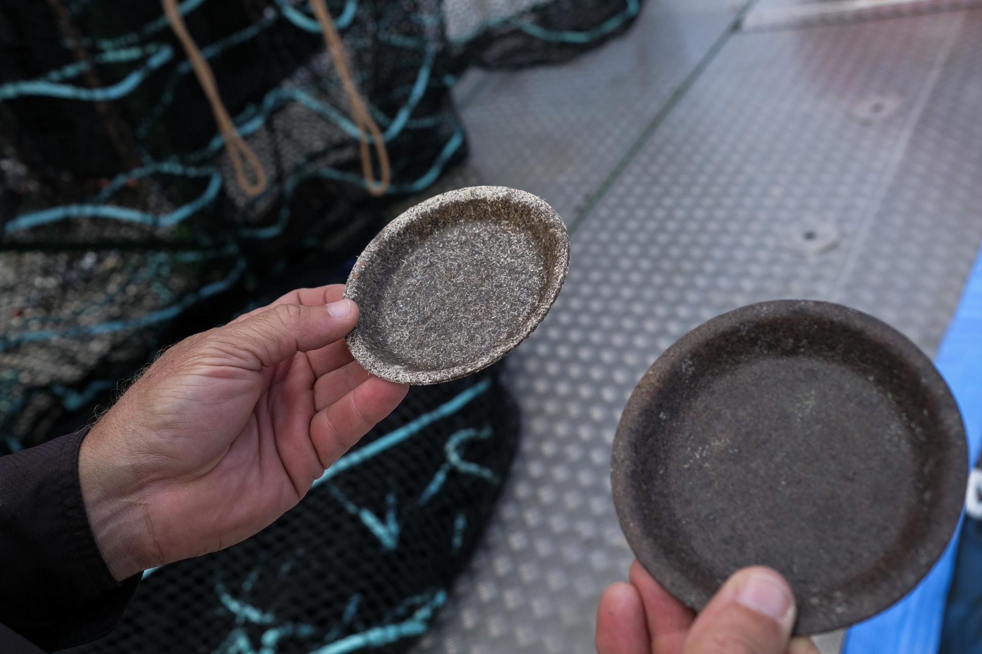 Platos hechos con sargazo reciclado.