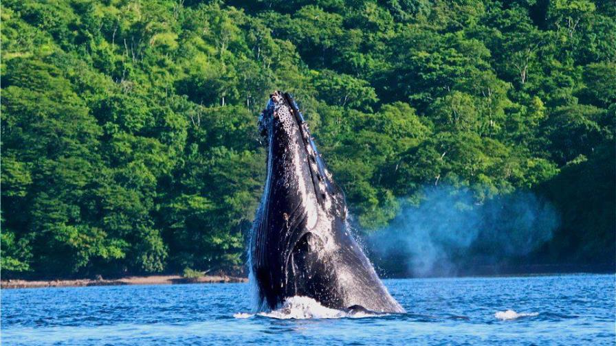 Parque Marino de Costa Rica siente el cambio climático y lucha para adaptarse 