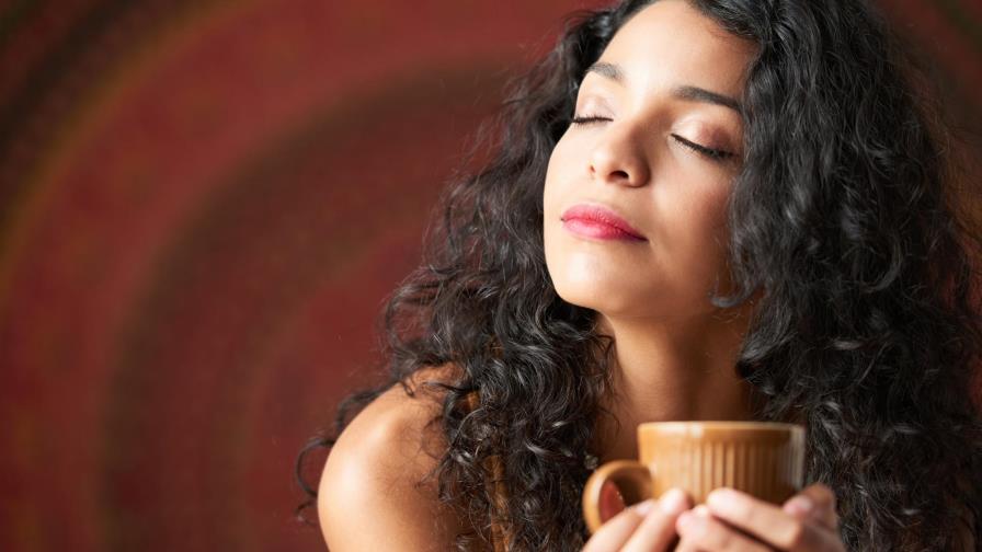 ¿Cómo percibimos el “sabor”?