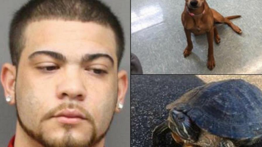 Se entrega hombre buscado por abandonar perro hambriento y dejar congelar una tortuga