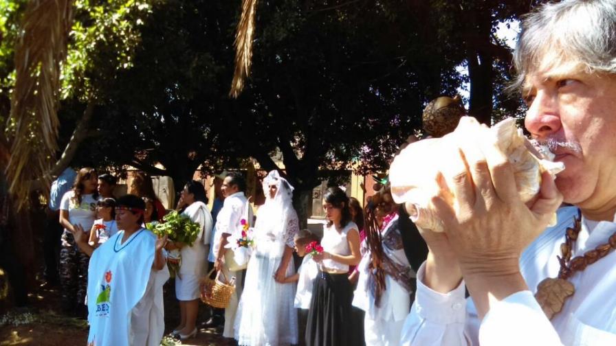 Celebran 30 bodas con árboles en México para pedir respeto a la Madre Tierra 