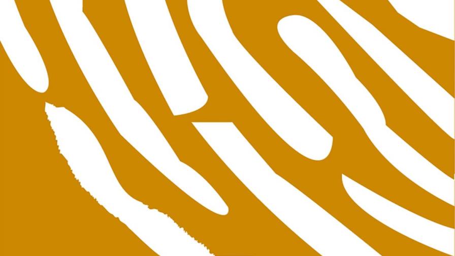 Una carta de ruta electoral propia de la oposición