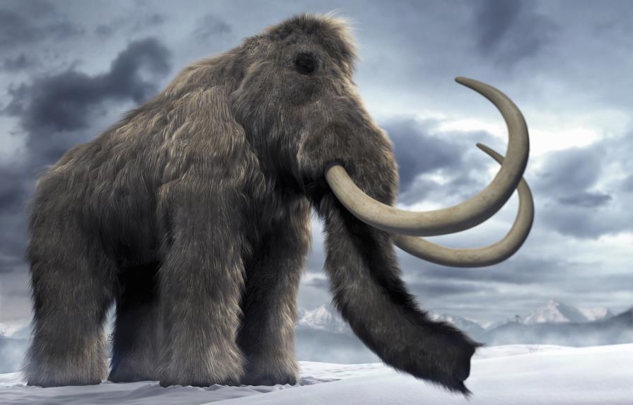 Un estudio desvela por qué eran tan grandes los mamuts y otros herbívoros