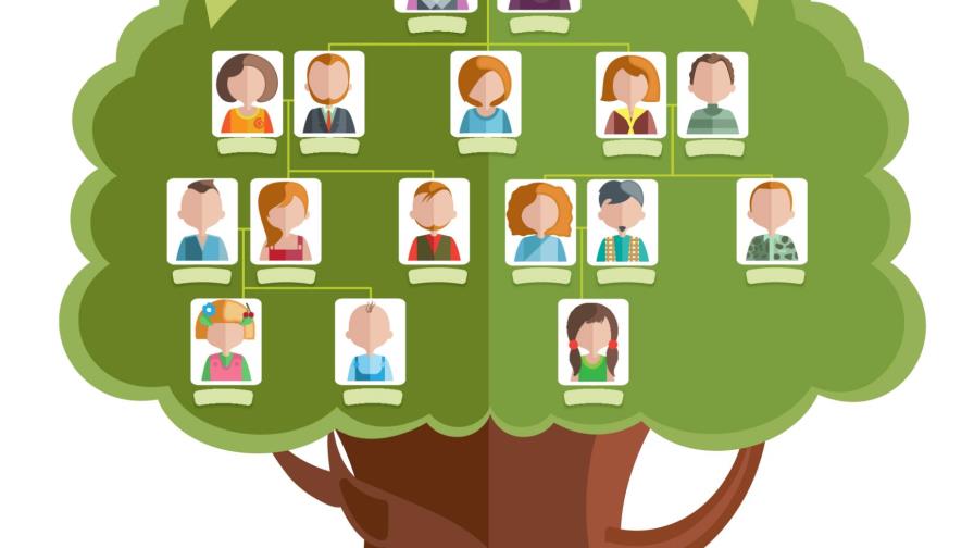 Elaboran un árbol genealógico que conecta 13 millones de personas 