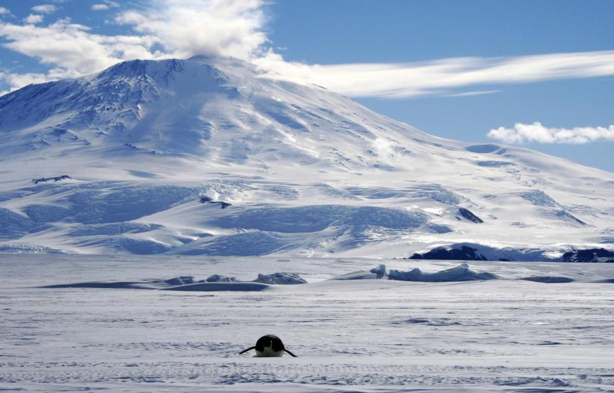 El hielo antártico se redujo en 2018 al segundo nivel más bajo registrado 