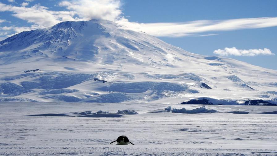 El hielo antártico se redujo en 2018 al segundo nivel más bajo registrado 