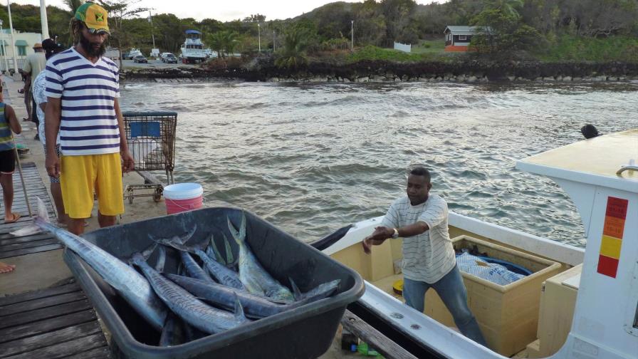 La marea marrón que inquieta en las Antillas