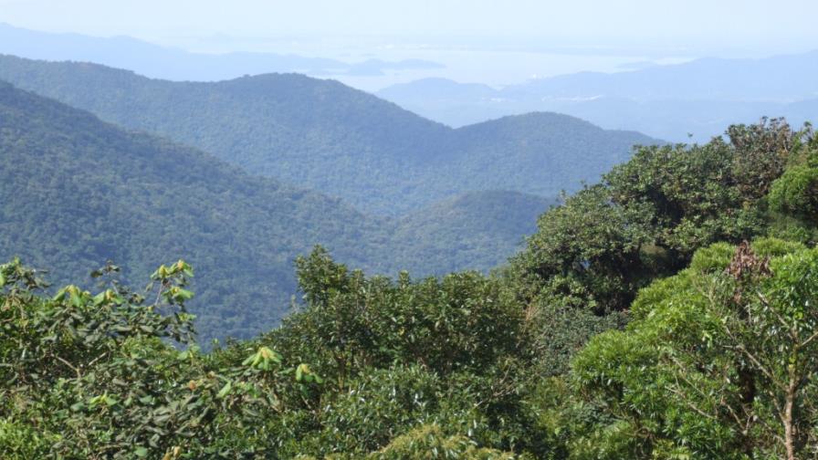 Latinoamérica adopta acuerdo sobre derechos de acceso a información en temas ambientales 