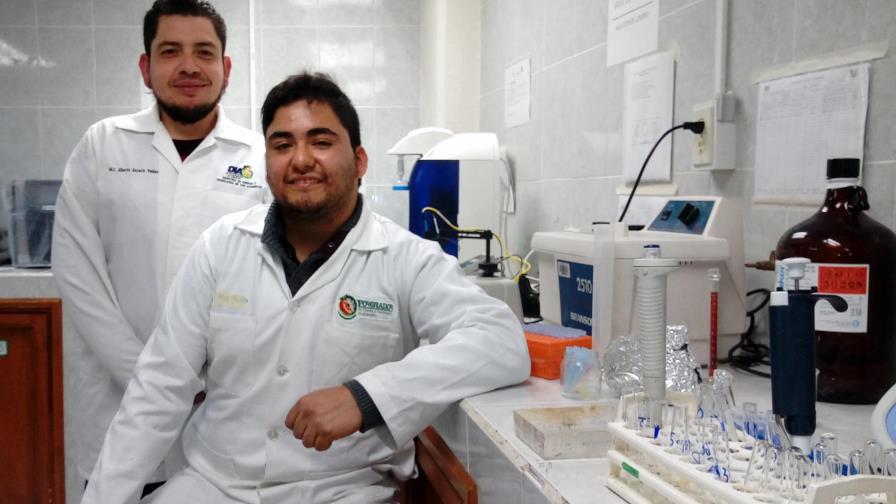 Comprueban potencial anticancerígeno de la rosa de Castilla Comprueban potencial anticancerígeno de la rosa de Castilla