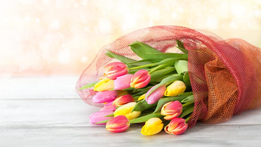 7 luchadoras con las que celebrar el Día de la Mujer 7 luchadoras con las que celebrar el Día de la Mujer