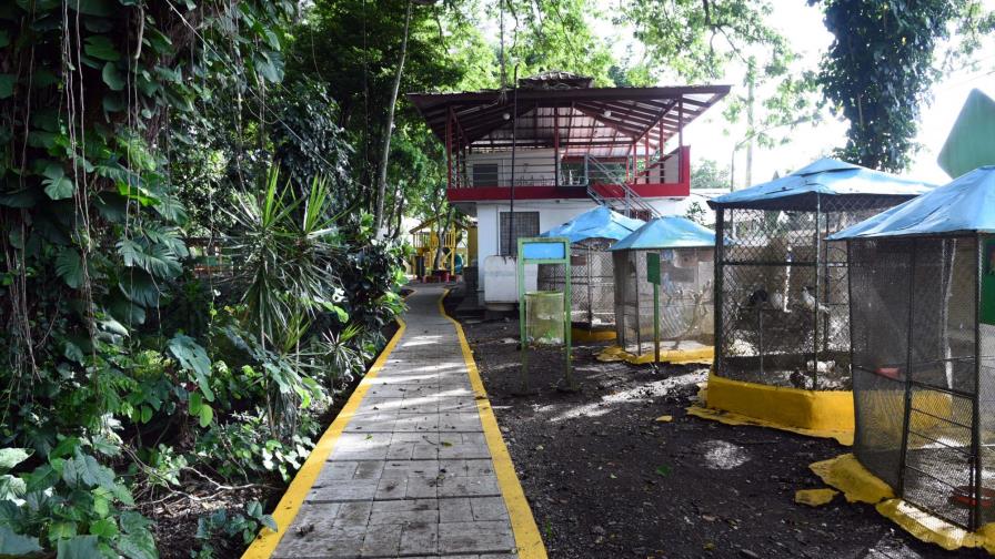 Insólito: Se roban dos monos del zoológico de Moca