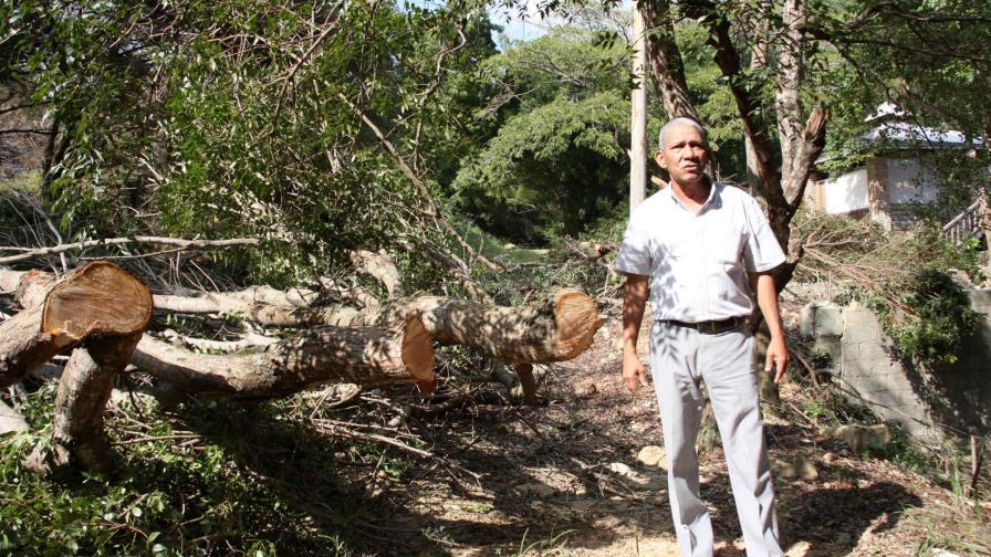 Denuncian tala de caoba en Jacagua Arriba de Santiago