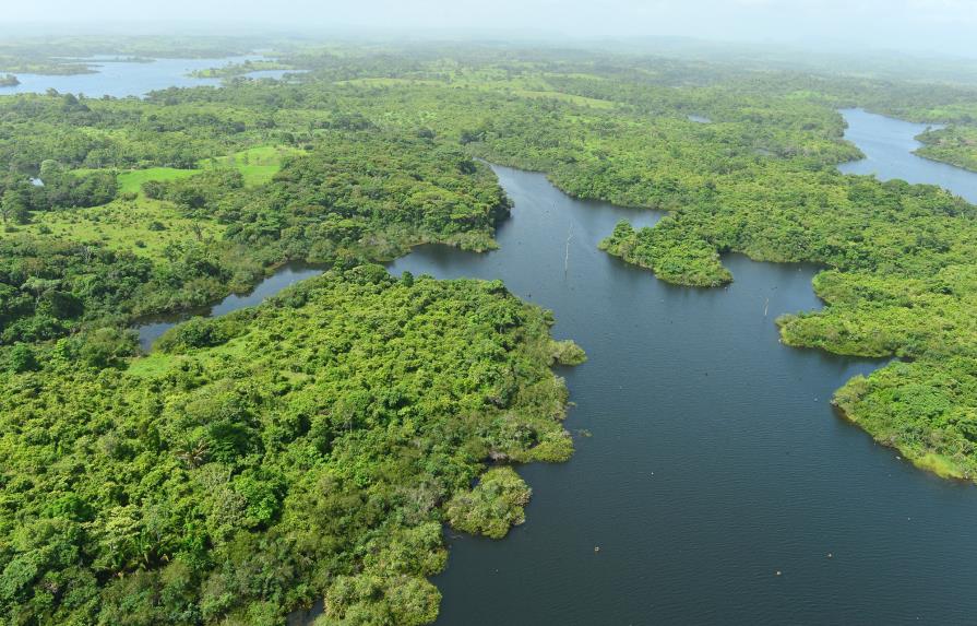 Smithsonian: La edad de bosques tropicales determina su respuesta a la sequía