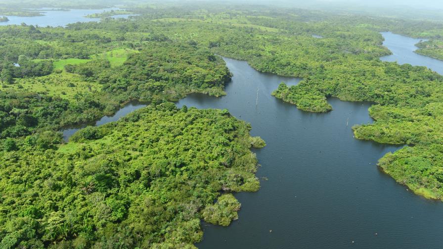 Smithsonian: La edad de bosques tropicales determina su respuesta a la sequía Smithsonian: La edad de bosques tropicales determina su respuesta a la sequía