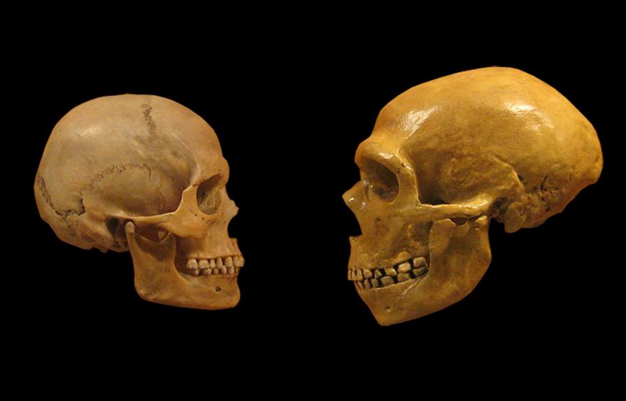 Humanos modernos se mezclaron con los denisovanos dos veces en la historia