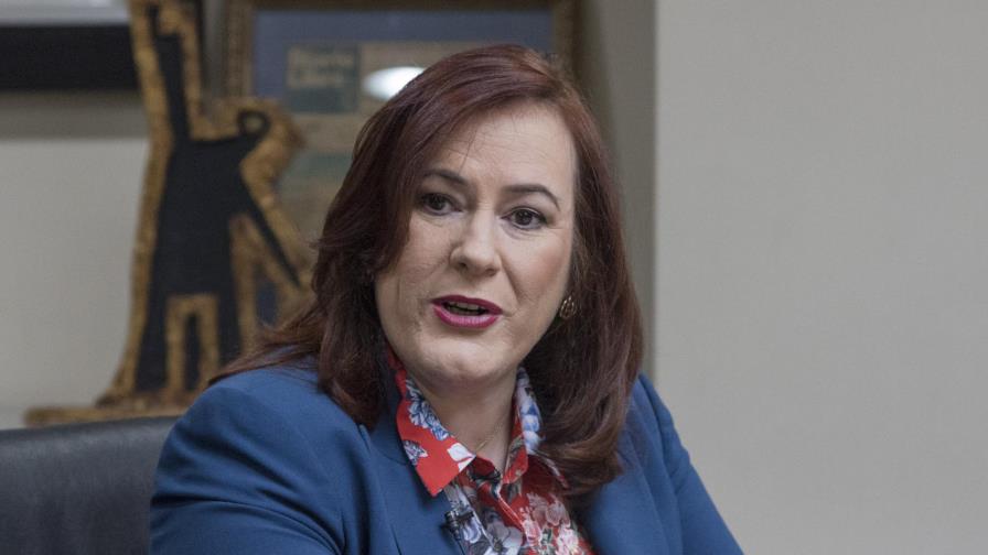 Janet Camilo afirma hombres están más violentos porque no saben compartir el poder con las mujeres