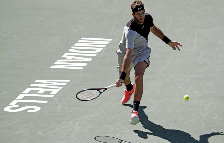 Juan Martín del Potro derrota a Milos Raonic y se cita con  Roger Federer en la final