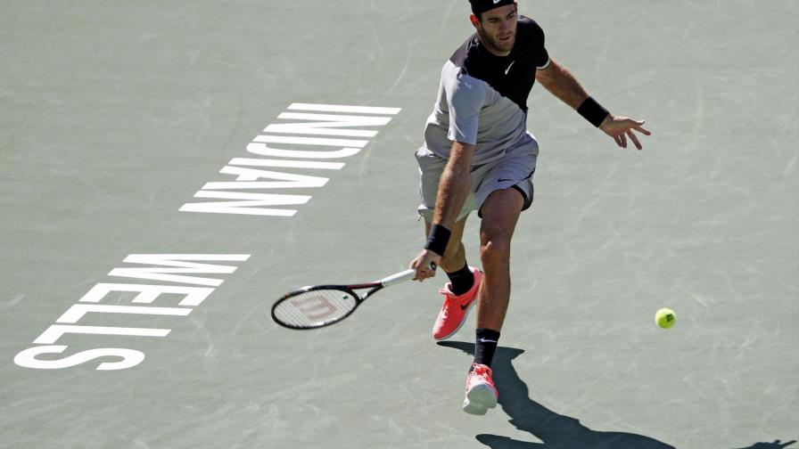 Juan Martín del Potro derrota a Milos Raonic y se cita con Roger Federer en la final Juan Martín del Potro derrota a Milos Raonic y se cita con Roger Federer en la final