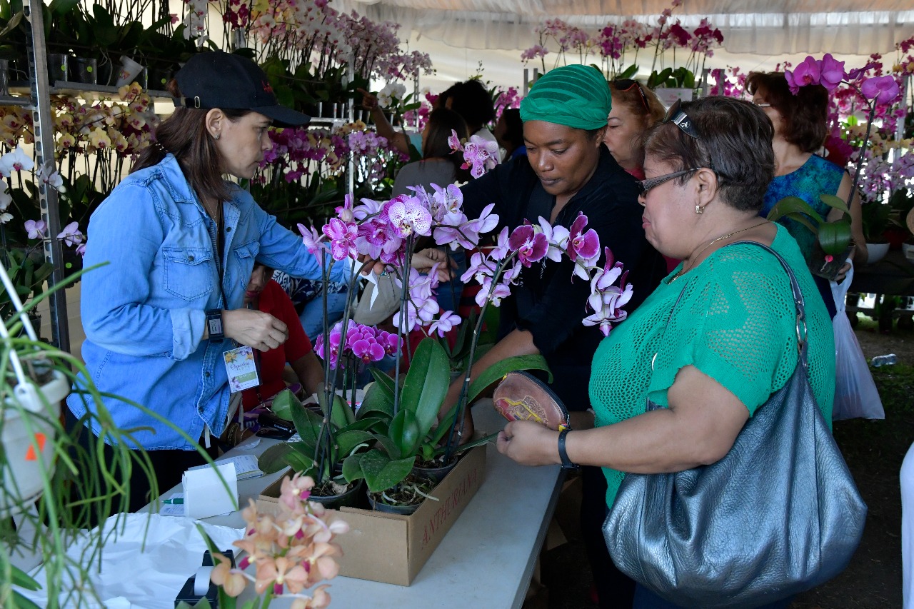 Cientos de personas acuden a apreciar y adquirir Orquídeas 