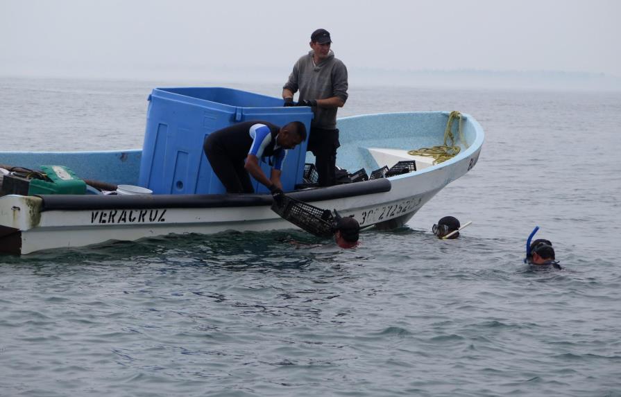 Así salvaron los pescadores un sistema arrecifal en México 