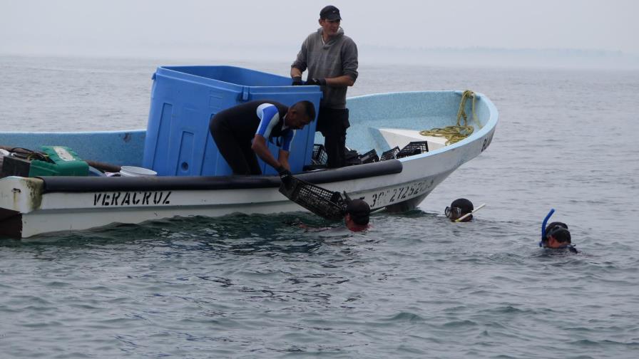 Así salvaron los pescadores un sistema arrecifal en México 
