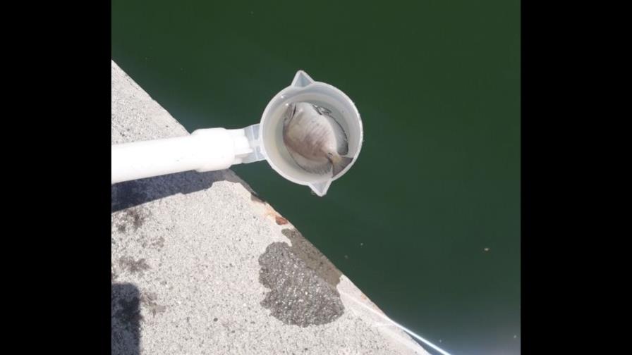 Empresa que derramó sustancia asegura que ha recogido 90% de residuos