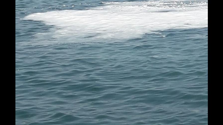 Se desconocen los daños al medioambiente por sustancia química derramada en el río Haina