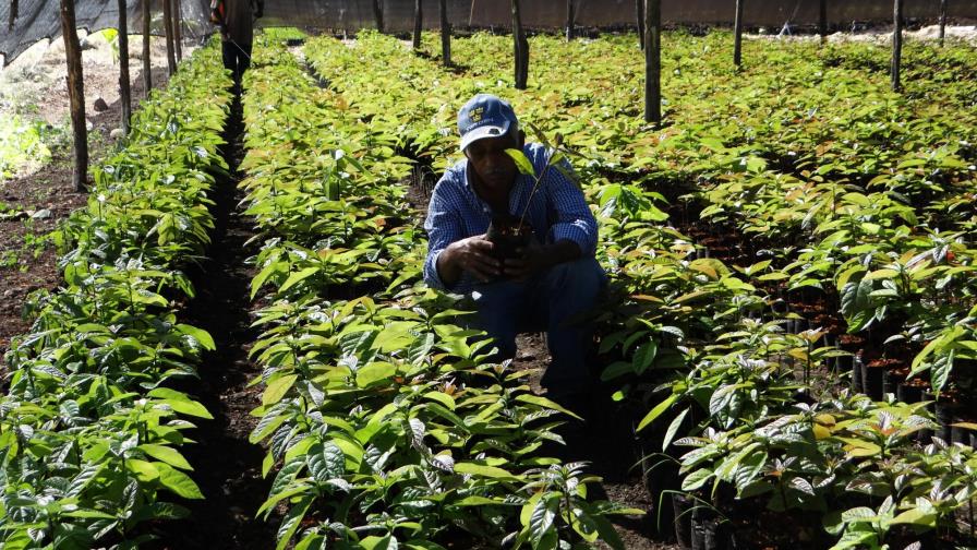 La FAO afirma que una mejor agricultura no basta para frenar escasez de agua 